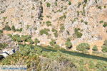JustGreece.com Preveli | South Crete | Greece  Photo 14 - Foto van JustGreece.com