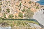 JustGreece.com Preveli | South Crete | Greece  Photo 15 - Foto van JustGreece.com