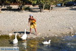 JustGreece.com Preveli | South Crete | Greece  Photo 32 - Foto van JustGreece.com