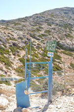 JustGreece.com From Matala to Red Beach | South Crete | Greece  Photo 9 - Foto van JustGreece.com