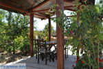 JustGreece.com Villa Kapariana near Mires | South Crete | Greece  Photo 3 - Foto van JustGreece.com