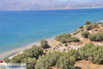 JustGreece.com Komos | South Crete | Greece  Photo 16 - Foto van JustGreece.com
