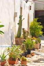 Monastery Odigitria | South Crete | Greece  Photo 12 - Photo JustGreece.com