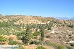 Monastery Odigitria | South Crete | Greece  Photo 21 - Photo JustGreece.com