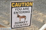 Donkey sanctuary Aghia Marina near Petrokefali | South Crete | Greece  Photo 1 - Photo JustGreece.com