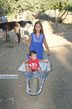 Donkey sanctuary Aghia Marina near Petrokefali | South Crete | Greece  Photo 6 - Photo JustGreece.com