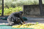 JustGreece.com Panagia Kaliviani near Mires| South Crete | Greece  Photo 8 - Foto van JustGreece.com