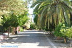 JustGreece.com Panagia Kaliviani near Mires| South Crete | Greece  Photo 24 - Foto van JustGreece.com