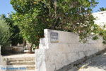 Vori | South Crete | Greece  Photo 49 - Photo JustGreece.com