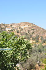 JustGreece.com Kamilari | South Crete | Greece  Photo 8 - Foto van JustGreece.com