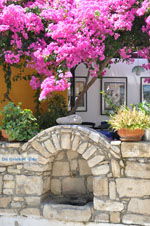 JustGreece.com Kamilari | South Crete | Greece  Photo 19 - Foto van JustGreece.com