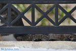 Kamilari | South Crete | Greece  Photo 22 - Photo JustGreece.com