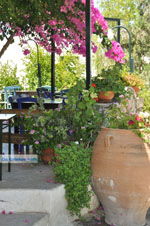 JustGreece.com Kamilari | South Crete | Greece  Photo 38 - Foto van JustGreece.com
