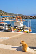 JustGreece.com Agia Pelagia | Kythira | Greece  Photo 8 - Foto van JustGreece.com