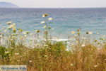 Aghia Pelagia Kythira | beach Lagada Photo 1 - Photo JustGreece.com