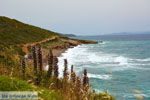 Aghia Pelagia Kythira | beach Lagada Photo 26 - Photo JustGreece.com