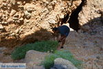 Aghia Pelagia Kythira | beach Lagada Photo 80 - Photo JustGreece.com