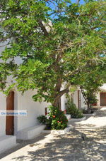 JustGreece.com Agia Moni near Diakofti | Kythira | Greece  4 - Foto van JustGreece.com