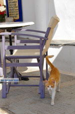 JustGreece.com Avlemonas Kythira | Ionian Islands | Greece | Greece  6 - Foto van JustGreece.com
