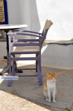 JustGreece.com Avlemonas Kythira | Ionian Islands | Greece | Greece  7 - Foto van JustGreece.com