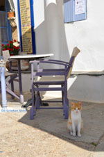 JustGreece.com Avlemonas Kythira | Ionian Islands | Greece | Greece  8 - Foto van JustGreece.com