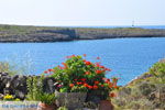 JustGreece.com Avlemonas Kythira | Ionian Islands | Greece | Greece  15 - Foto van JustGreece.com