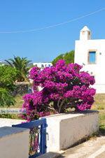 JustGreece.com Avlemonas Kythira | Ionian Islands | Greece | Greece  28 - Foto van JustGreece.com