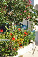 JustGreece.com Avlemonas Kythira | Ionian Islands | Greece | Greece  30 - Foto van JustGreece.com