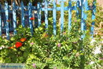JustGreece.com Avlemonas Kythira | Ionian Islands | Greece | Greece  39 - Foto van JustGreece.com