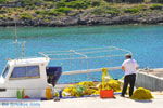 Avlemonas Kythira | Ionian Islands | Greece | Greece  41 - Photo JustGreece.com