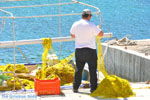 JustGreece.com Visser Avlemonas Kythira | Ionian Islands | Greece | Greece  42 - Foto van JustGreece.com