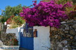 JustGreece.com Near the bronnen of Karavas | Kythira | Photo 7 - Foto van JustGreece.com
