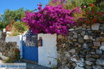 JustGreece.com Near the bronnen of Karavas | Kythira | Photo 8 - Foto van JustGreece.com