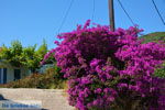 JustGreece.com Near the bronnen of Karavas | Kythira | Photo 12 - Foto van JustGreece.com