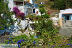 JustGreece.com Near the bronnen of Karavas | Kythira | Photo 14 - Foto van JustGreece.com