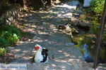 JustGreece.com Near the bronnen of Karavas | Kythira | Photo 17 - Foto van JustGreece.com