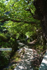 JustGreece.com Near the bronnen of Karavas | Kythira | Photo 31 - Foto van JustGreece.com