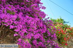 JustGreece.com Near the bronnen of Karavas | Kythira | Photo 48 - Foto van JustGreece.com