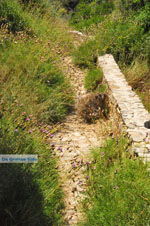 JustGreece.com Kaladi Kythira | Ionian Islands | Greece | Greece  Photo 20 - Foto van JustGreece.com