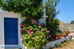Kalokerines Kythira | Ionian Islands | Greece | Photo 13 - Photo JustGreece.com