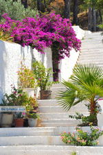 JustGreece.com Kapsali Kythira | Ionian Islands | Greece | Greece  Photo 31 - Foto van JustGreece.com