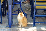 JustGreece.com Kapsali Kythira | Ionian Islands | Greece | Greece  Photo 36 - Foto van JustGreece.com