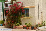 JustGreece.com Karvounades Kythira | Ionian Islands | Greece | Greece  Photo 26 - Foto van JustGreece.com