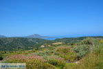 JustGreece.com Komponada beach near Karvounades on Kythira | Greece  Photo 8 - Foto van JustGreece.com