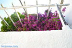 JustGreece.com Kythira town (Chora) | Greece | Greece  30 - Foto van JustGreece.com