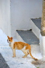 JustGreece.com Kythira town (Chora) | Greece | Greece  37 - Foto van JustGreece.com