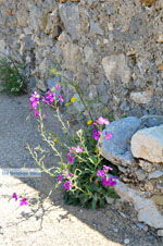 JustGreece.com Kythira town (Chora) | Greece | Greece  93 - Foto van JustGreece.com