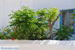 JustGreece.com Kythira town (Chora) | Greece | Greece  98 - Foto van JustGreece.com
