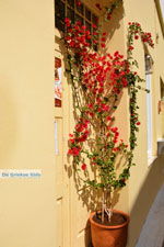JustGreece.com Kythira town (Chora) | Greece | Greece  251 - Foto van JustGreece.com