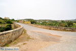 JustGreece.com Katouni brug | Ano and Kato Livadi Kythira | Ionian Islands | Greece | Photo 7 - Foto van JustGreece.com